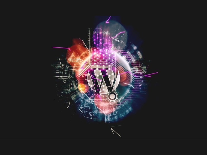 Top 5 WordPress Themes for Web Developers